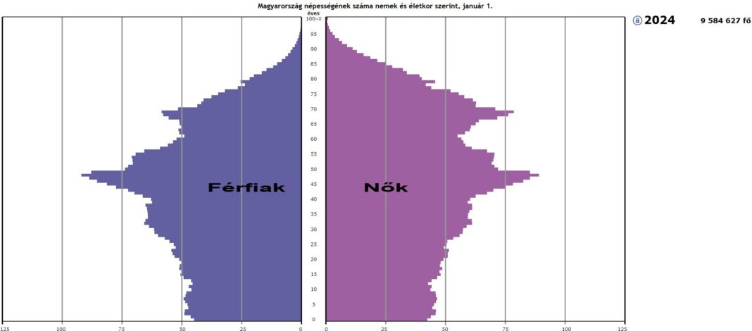 Népességfogyást mutató korfa