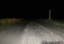 autója után kötötte