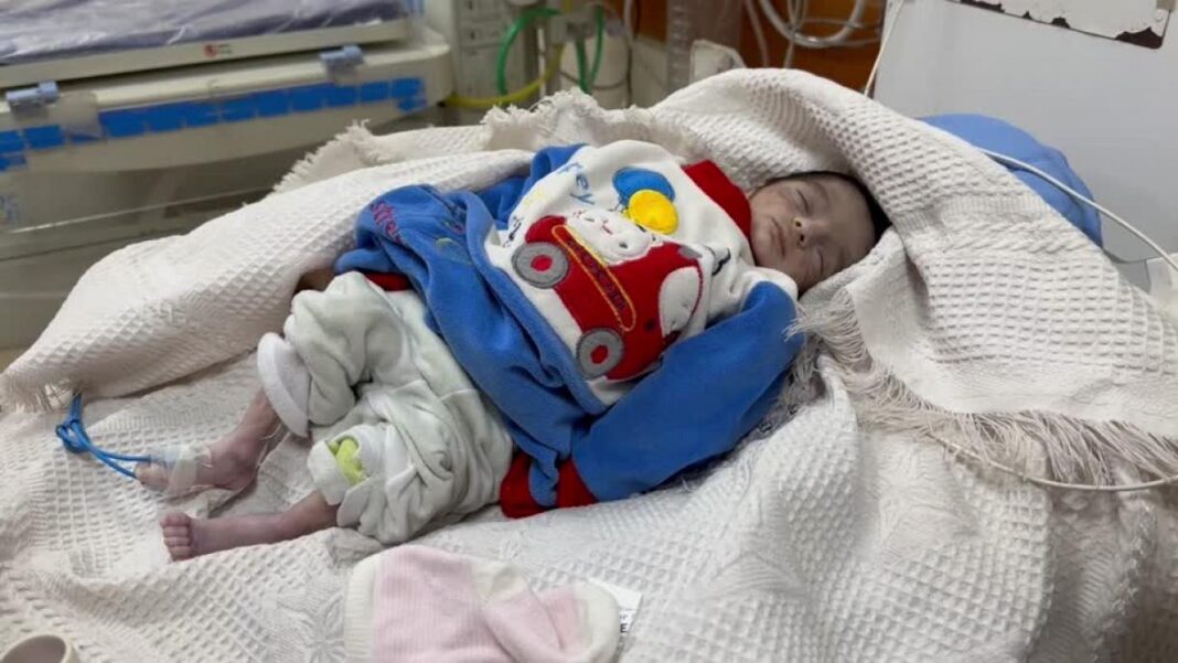 fagyhalál Gázában