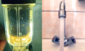 pilis férges ivóvíz