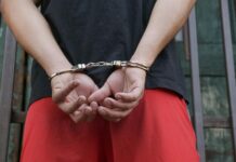 prostitúciós hálózatot