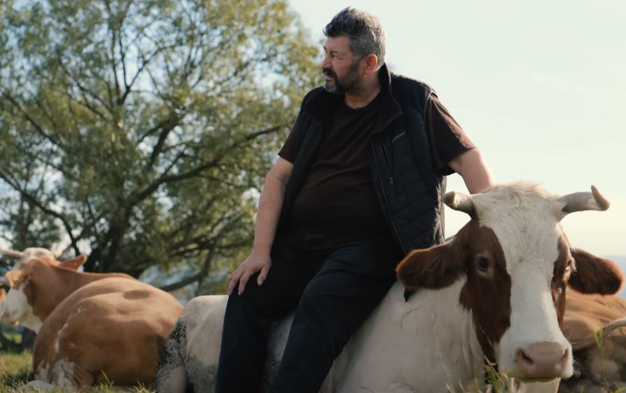 vissza a gyökereinkhez