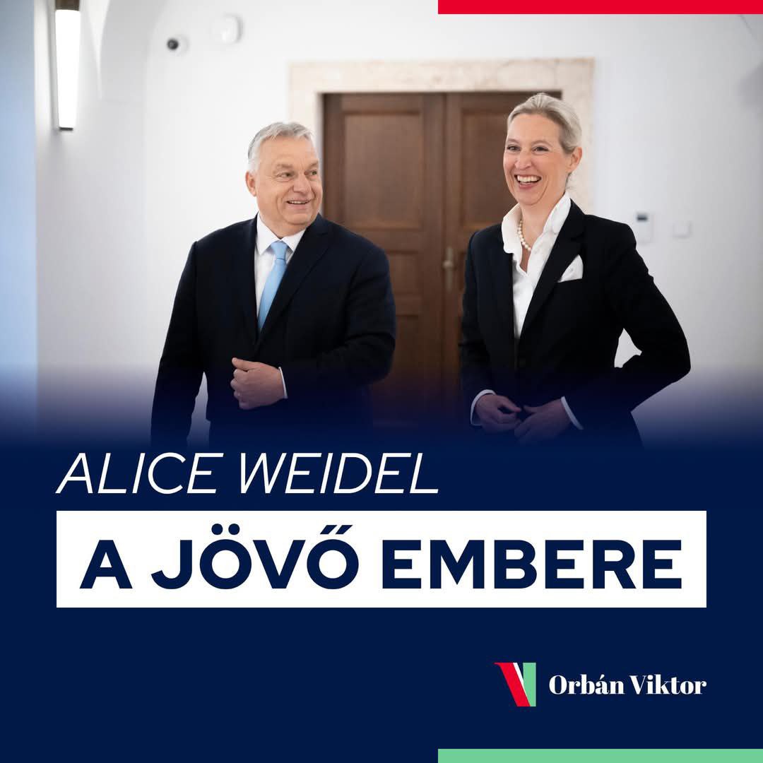 Orbán és AFD találkozó