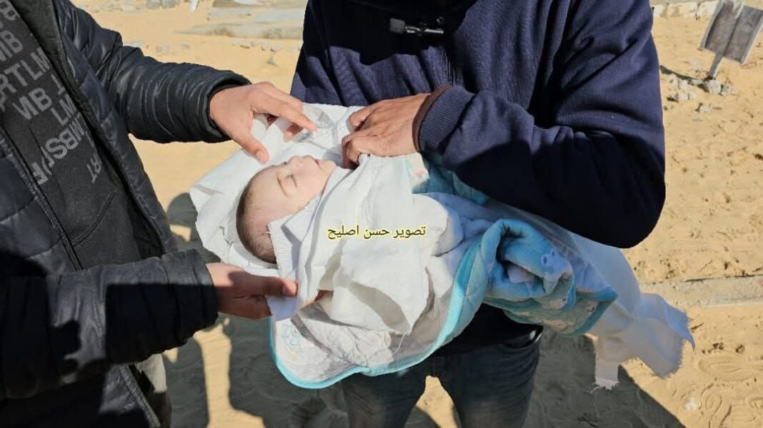 fagyhalál Gázában