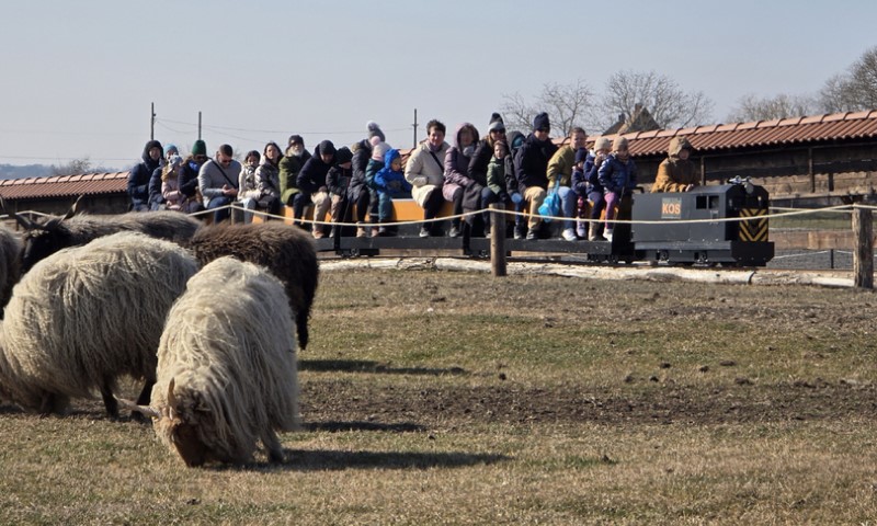 kisvasút avatás
