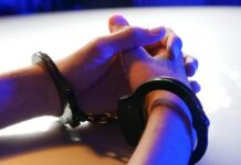 szigetszentmiklósi pedofil