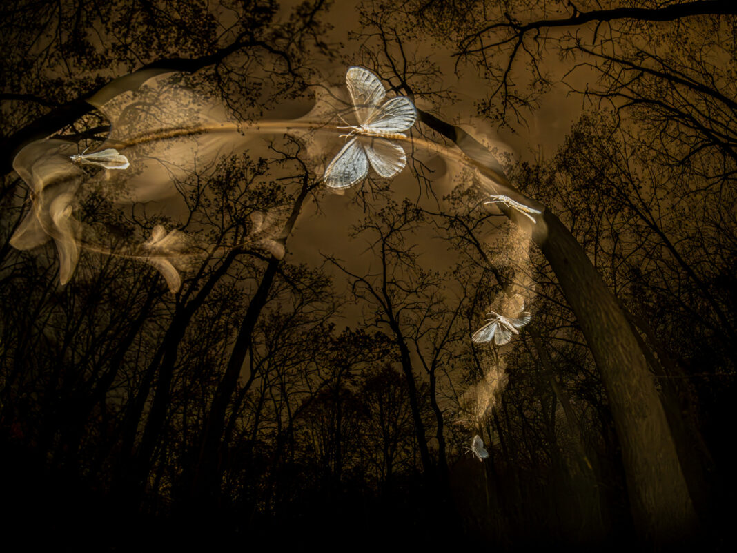 Varázslatos Magyarország