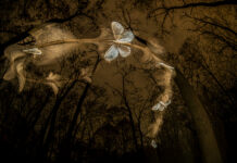 Varázslatos Magyarország