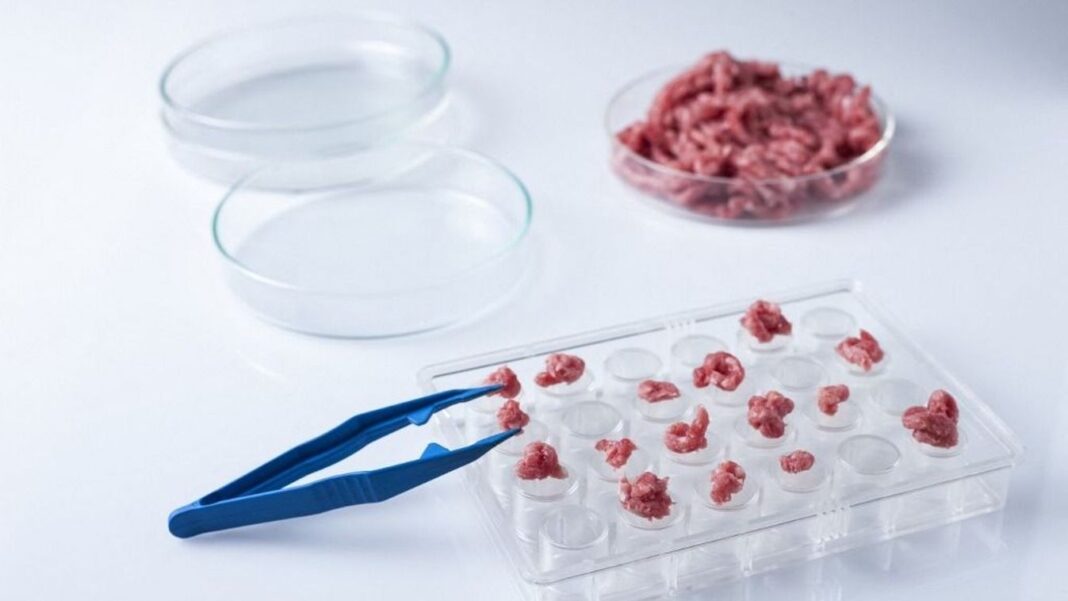 betiltják a műhúst