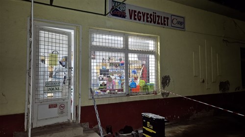 cigánybűnözés