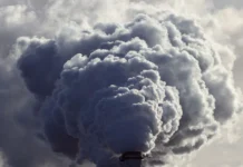 környezetszennyezők