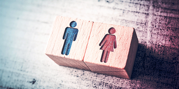 alaptörvény-módosítás