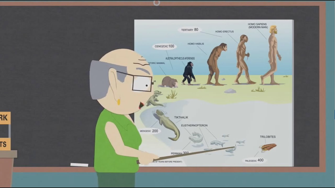 Evolúció