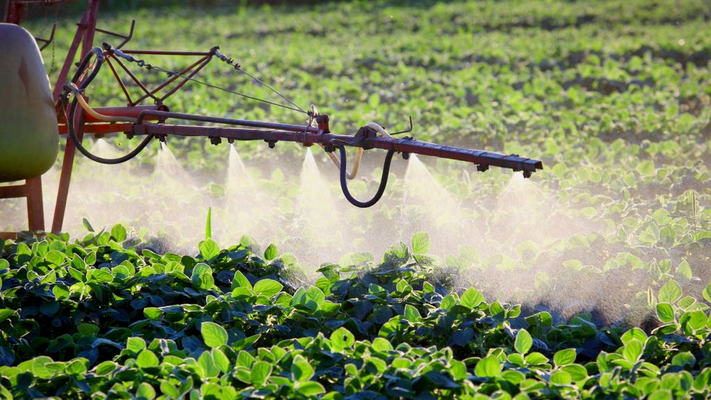 gyomirtóval teli víz