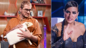 Lakatos Márk pedofil