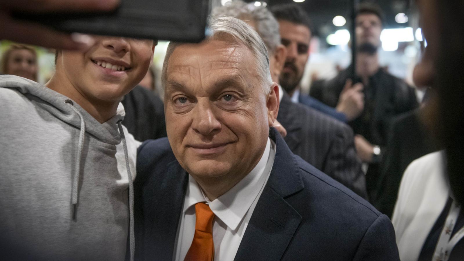 luxizás