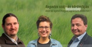 száj- és körömfájás