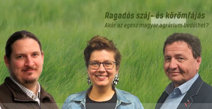 száj- és körömfájás száj- és körömfájás