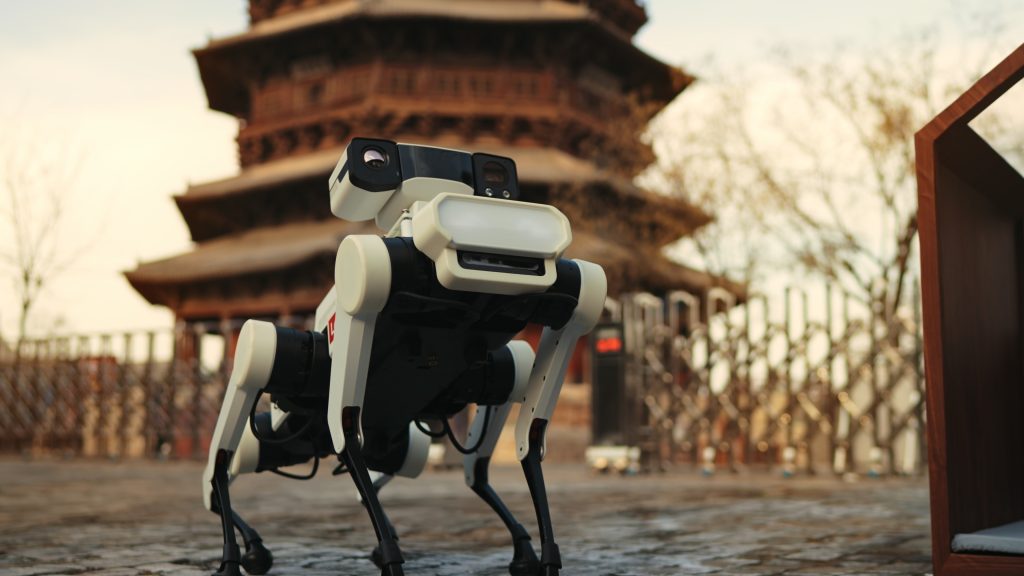 robotkutya