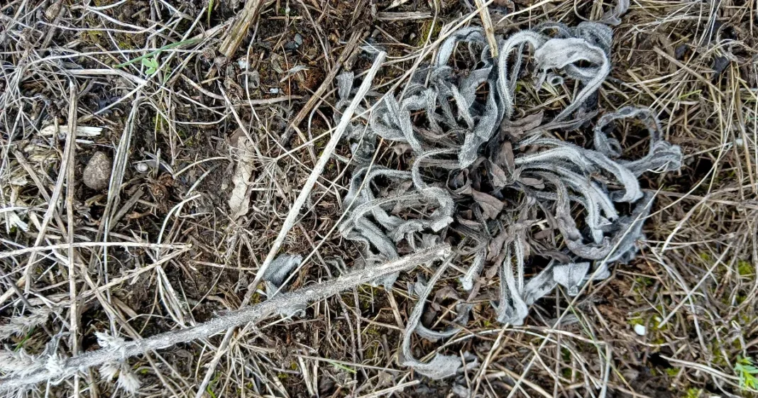 természetkárosítók