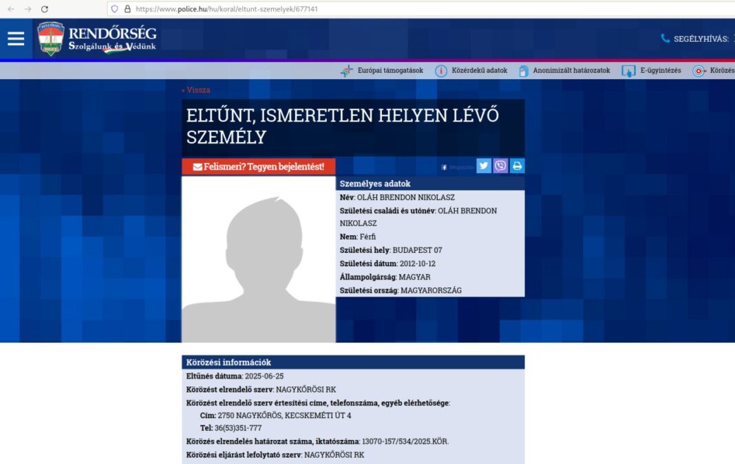 Kerepesi gyermekverés