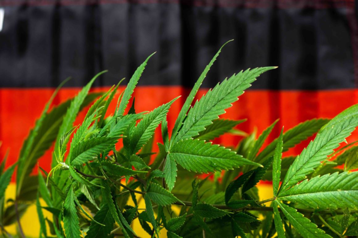 marihuána legalizálása