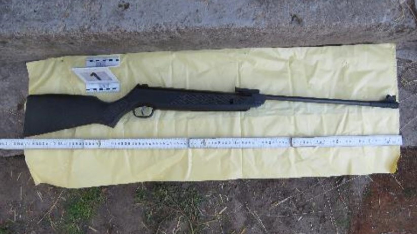 hasba lőtte testvérét