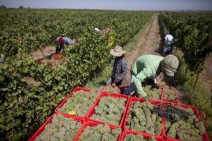 szexuális zaklatás