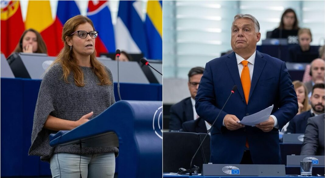 Ilaria Salis mentelmi jog