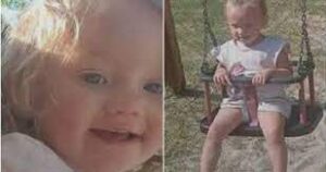 miskei cigánybűnöző