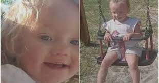 miskei cigánybűnöző