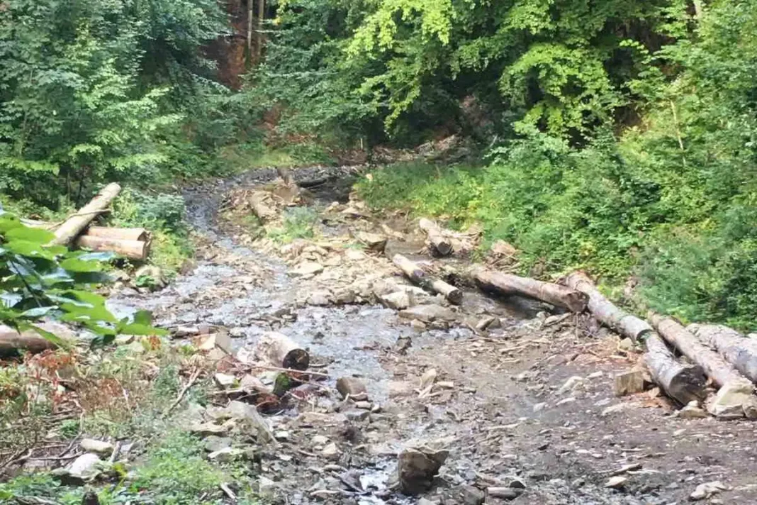 környezetkárosítás Kárpátalján