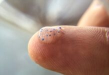 mikroműanyag az anyaméhben