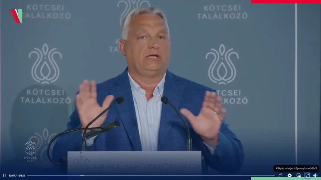 nemzeti konzultáció