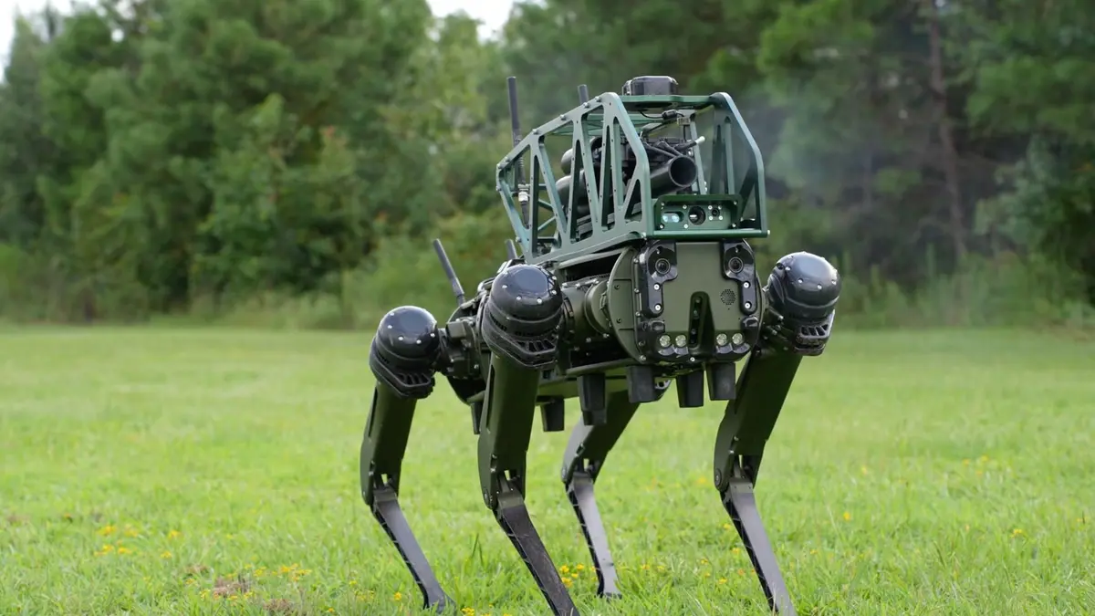 robotkutya
