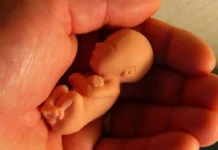 spanyolország abortusz