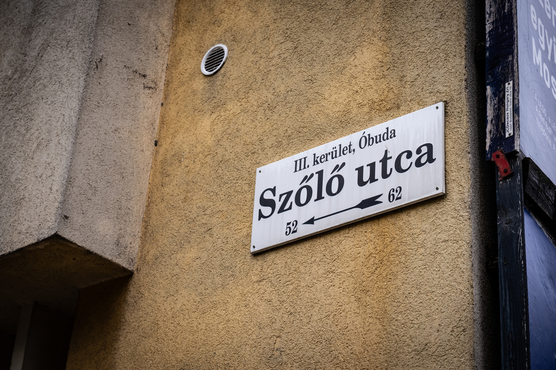 Szőlő utcai
