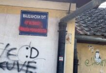 Délvidék soviniszták