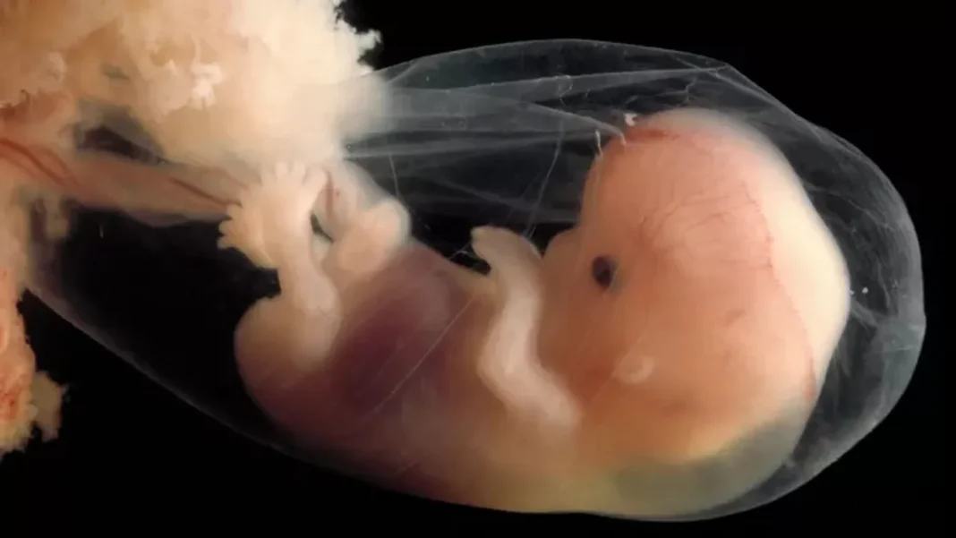 Gyermekgénmódosítás