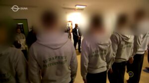 Kékfény Szőlő utca