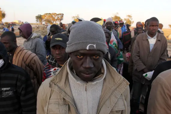 migráns simogató pápa