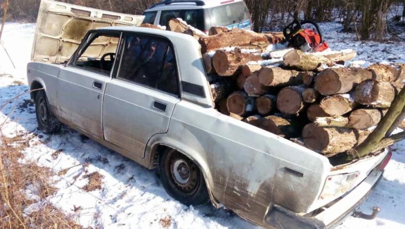 élősködő cigányok