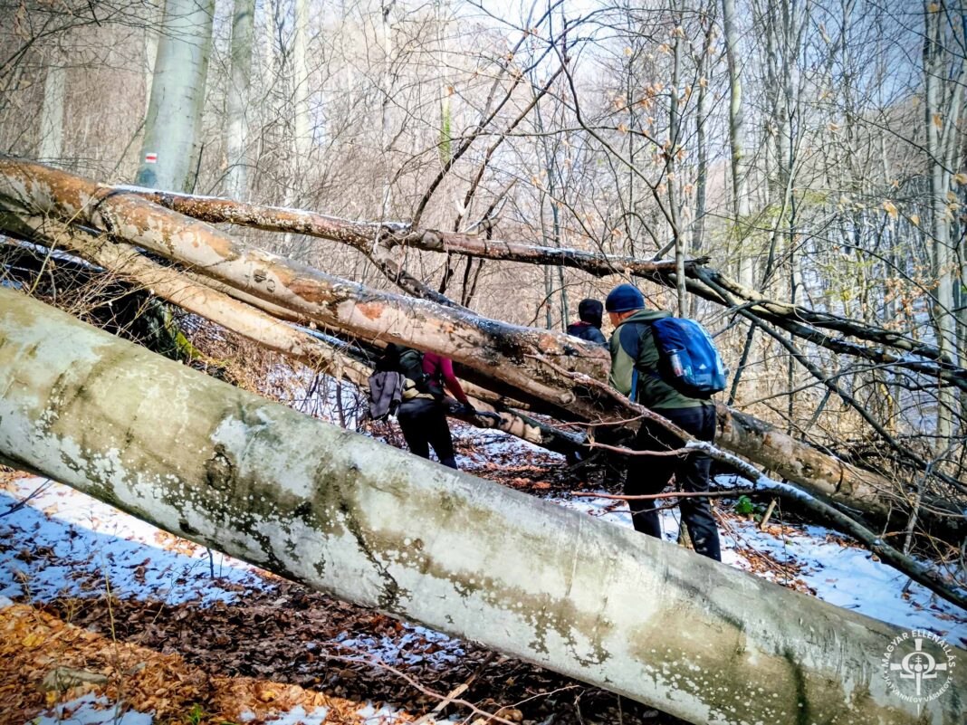 Szent Korona Emlék- és Teljesítménytúra