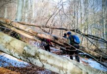 Szent Korona Emlék- és Teljesítménytúra