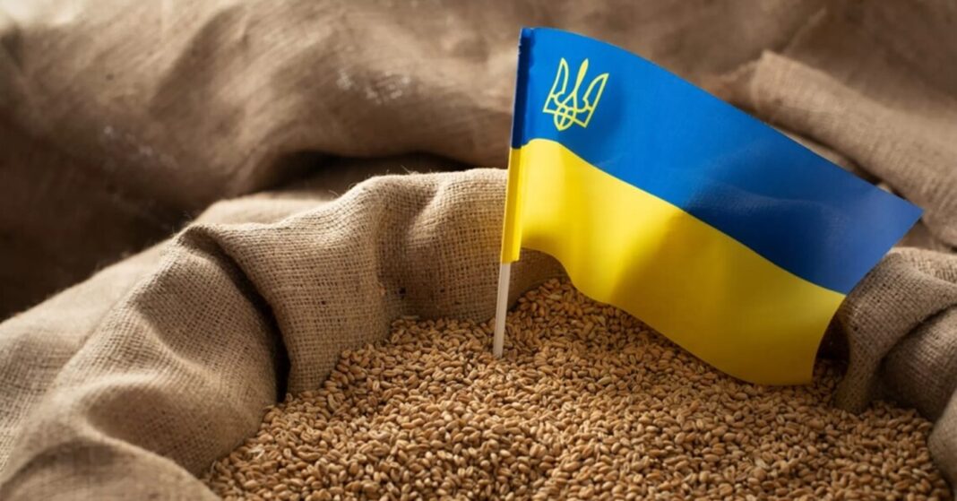 ukrán agrártermékek